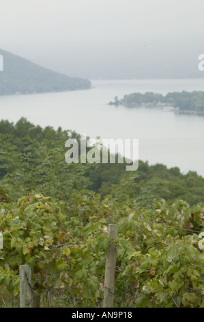 Lago Keuka e vigneti Finger Lakes Wine regione New York Foto Stock