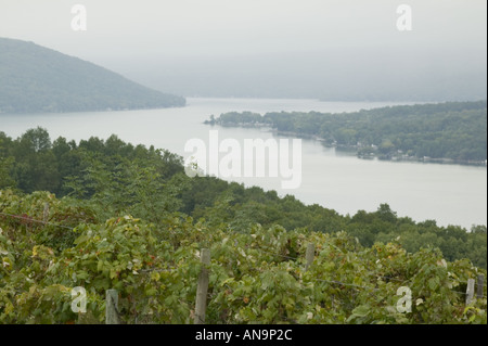 Lago Keuka e vigneti Finger Lakes Wine regione New York Foto Stock