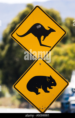 Animali segno di attraversamento su Great Western Highway da Sydney New South Wales AUSTRALIA Foto Stock