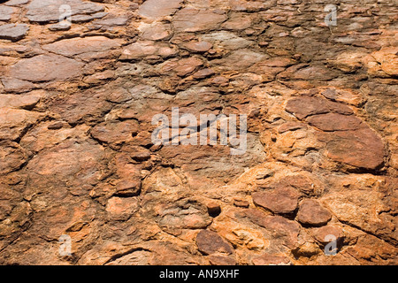 Incrinato Mereenie arenaria del King s Canyon di Territorio del Nord Australia Foto Stock