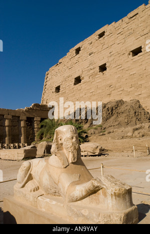 Tempio di Karnak Luxor Egitto sphinx pensato per essere ritratto di Tutankhamon nel primo cortile Foto Stock