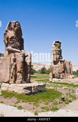 In Egitto i Colossi di Memnon vicino a Luxor statue di Amenhotep III una volta custodito XVIII dinastia faraone tempio mortuario Foto Stock