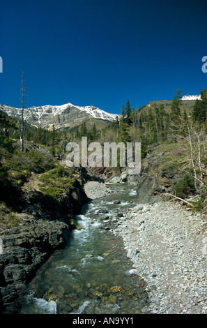 Una vista di Red Rock Canyon nel Parco Nazionale dei laghi di Waterton, Alberta, Canada. Foto Stock