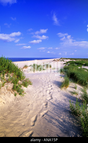 Orme orme nella sabbia sulla spiaggia di Pea Island Outer Banks North Carolina USA Foto Stock