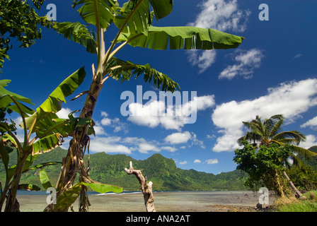 SAMOA UPOLU NE nord-est a nord-est a nord est vicino Uafato e Fajaila costa Bay shore sulla costa offshore molto frastagliato ragg Foto Stock