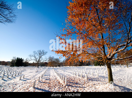Al Cimitero Nazionale di Arlington con alberi d'autunno nella neve Foto Stock