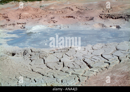 Primo piano della fontana vaso di vernice Mudpot fontana sul vaso di vernice Trail Parco Nazionale di Yellowstone Wyoming USA Foto Stock