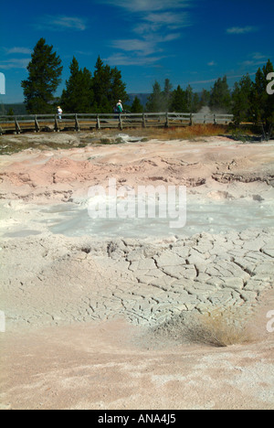 Fontana vaso di vernice Mudpot fontana sul vaso di vernice Trail Parco Nazionale di Yellowstone Wyoming USA Foto Stock