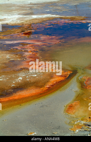 Run Off a molla Firehole sul lago Firehole guidare il Parco Nazionale di Yellowstone Wyoming USA Foto Stock