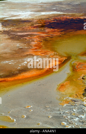 Run Off a molla Firehole sul lago Firehole guidare il Parco Nazionale di Yellowstone Wyoming USA Foto Stock