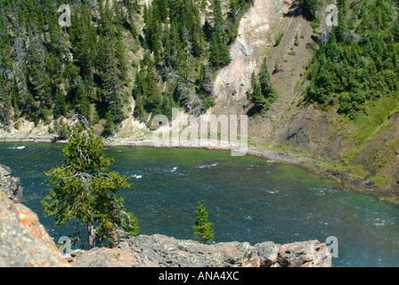 Yellowstone Fiume che scorre veloce nei pressi di Upper Falls Grand Canyon di Yellowstone Wyoming USA Foto Stock