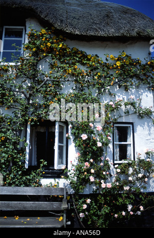 Chilington Devon England Regno Unito Regno Unito Europa Foto Stock