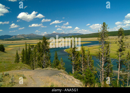 Yellowstone River si snoda attraverso la valle di Hayden nel Parco Nazionale di Yellowstone Wyoming USA Foto Stock