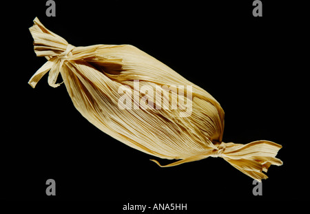 Massimo Mauro messicano ritaglio sfondo nero Foto Stock