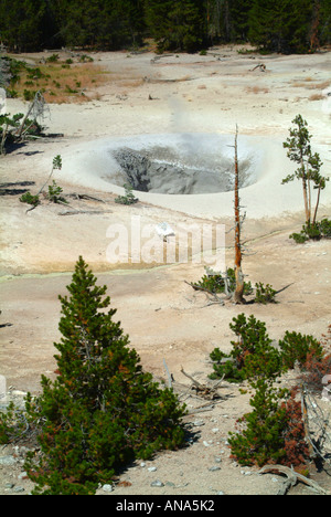 Calderone di zolfo nei pressi di Hayden Valley il Parco Nazionale di Yellowstone Wyoming USA Foto Stock