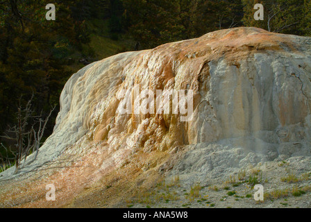 Molla di Orange Mound a Mammoth Hot Springs Yellowstone National Park Wyoming USA Foto Stock