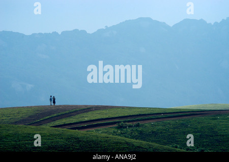 Aprire praterie di VAGAMON, IDUKKI DIST Foto Stock