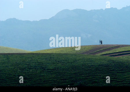 Aprire praterie di VAGAMON, IDUKKI DIST Foto Stock