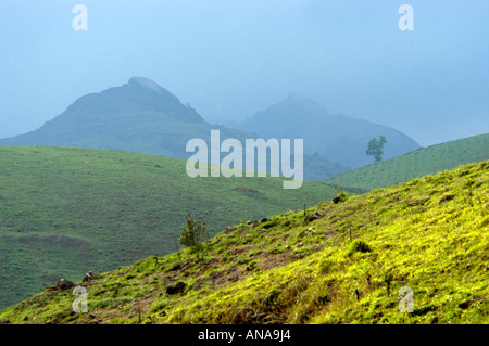 Aprire praterie di VAGAMON, IDUKKI DIST Foto Stock