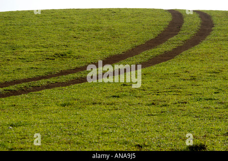 Aprire praterie di VAGAMON, IDUKKI DIST Foto Stock