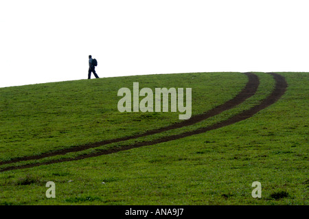 Aprire praterie di VAGAMON, IDUKKI DIST Foto Stock