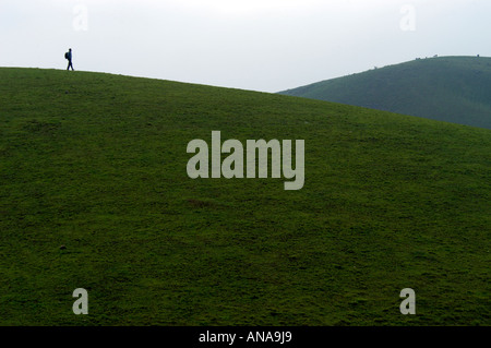 Aprire praterie di VAGAMON, IDUKKI DIST Foto Stock