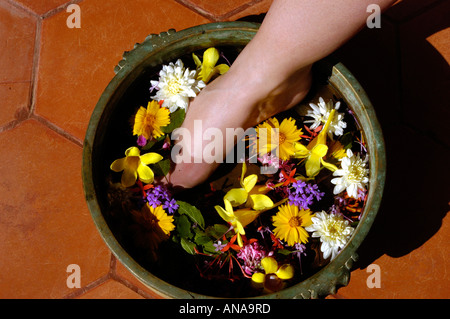 AYURVEDA E RINGIOVANIMENTO DI UDAY SAMUDRA BEACH RESORT, Kovalam, TRIVANDRUM Foto Stock