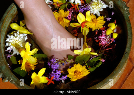 AYURVEDA E RINGIOVANIMENTO DI UDAY SAMUDRA BEACH RESORT, Kovalam, TRIVANDRUM Foto Stock