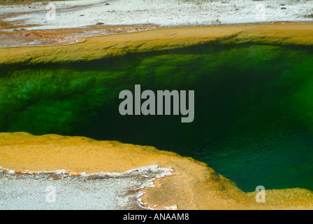 Primo piano della splendida piscina smeraldo al Midway Geyser Basin nel Parco Nazionale di Yellowstone Wyoming USA Foto Stock