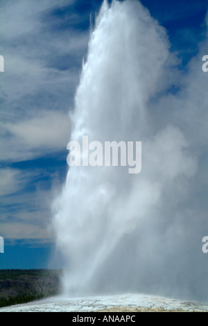 Geyser Old Faithful Scaricarsi in una massiccia eruzione nel Parco Nazionale di Yellowstone Wyoming USA Foto Stock