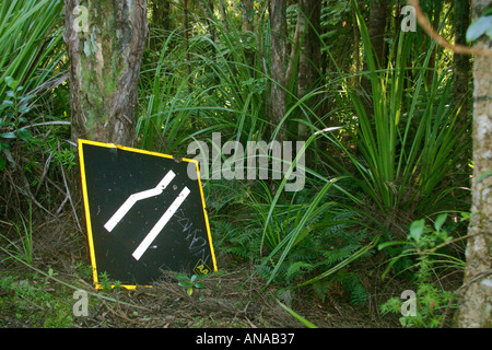 Segno stradina nella foresta Waitakere varia Nuova Zelanda Isola del nord Foto Stock