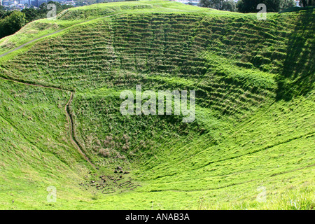 Ti amo segno fatta di pietre a grandi lettere scritte su Mt Eden vulcano estinto Auckland Nuova Zelanda Foto Stock