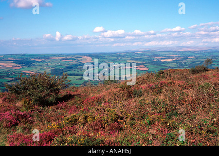 Kit vista collina east Cornwall Inghilterra uk gb Foto Stock