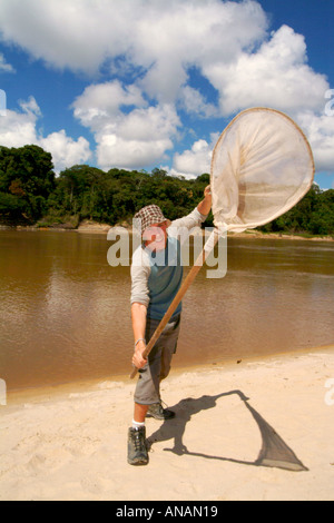 Ricercatore di farfalle cattura le farfalle Foto Stock