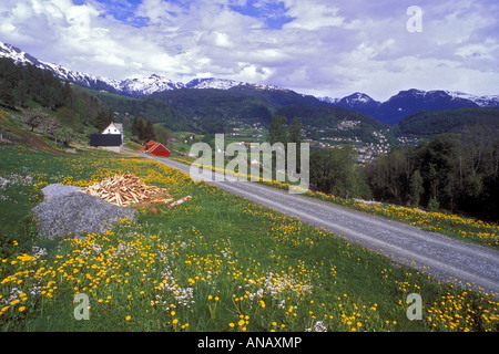 Vista sulla regione di Hardanger, Norvegia Hordaland, Hardangervidda Foto Stock