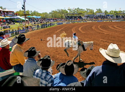 Bareback bronc riding, Mt Isa rodeo Foto Stock