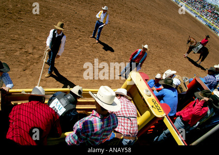 Bareback bronc riding, Mt Isa rodeo Foto Stock