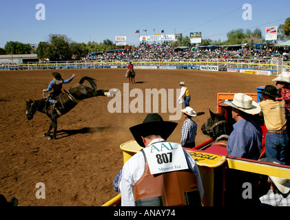 Saddle bronc riding, Mt Isa rodeo Foto Stock