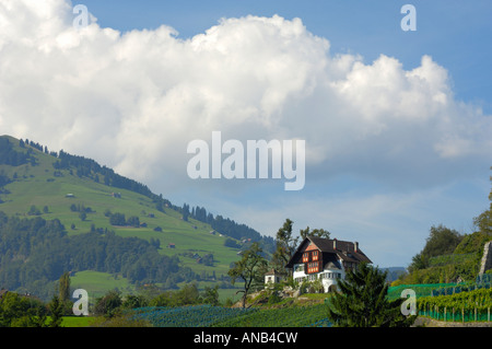 Lo storico villaggio svizzero di Werdenberg, Rheintal CH Foto Stock