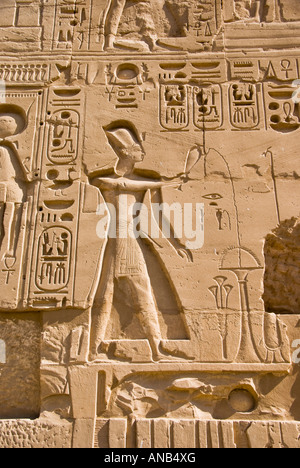 Tagliare il fregio del rilievo a sud rivolto verso la parete esterna del Santuario di Amon di Karnak Foto Stock