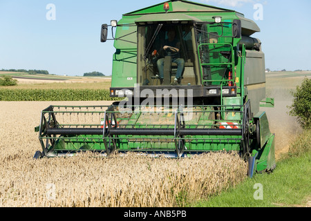 Una mietitrebbia è la raccolta di frumento Foto Stock