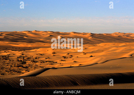 Vista panoramica delle dune di Erg Awbari Foto Stock