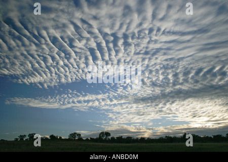 Il tramonto del bushveld colpisce con formazioni di nubi. Foto Stock