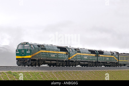 Lo Skytrain Provincia di Qinghai Xizang stazione più alta del mondo percorso treno altopiano Tibetano Tibet Cina Foto Stock