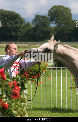 Evento egiziano Europa in Iffezheim vicino a Baden Baden Germania Settembre 2005 Foto Stock