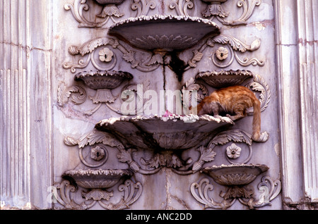 Un gatto che beve acqua da una vecchia cascata decorato acqua potabile fontana esposto nel cortile del Museo di arte islamica in Cairo Egitto Foto Stock