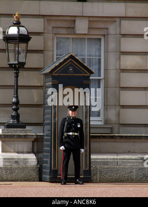 Soldato di sentinella a Buckingham Palace Londra Inghilterra REGNO UNITO Foto Stock