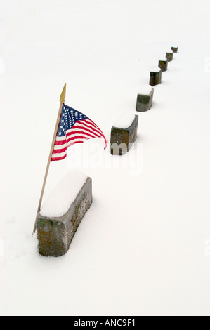 Scena di inverno Foto Stock