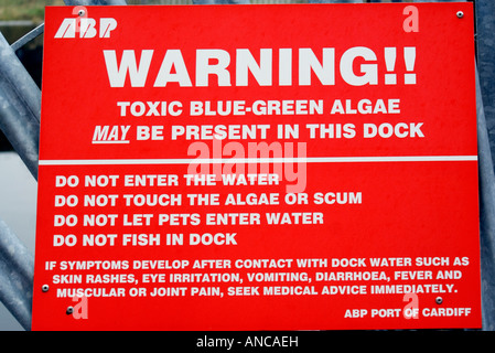 Segnale di avvertimento per i pericoli di alghe blu-verdi per la baia di Cardiff Foto Stock