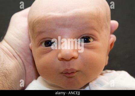 Padre holding neonato boy Foto Stock